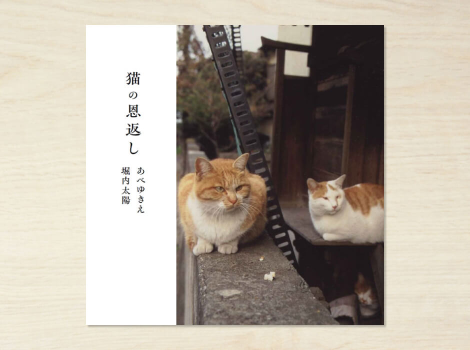猫の恩返し写真集